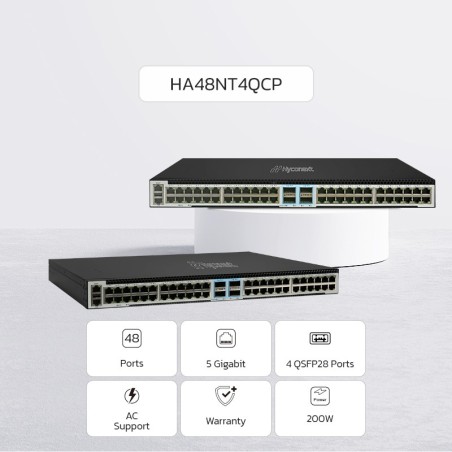 NexArena 48-5G — L3 Managed 48 ports 5G RJ45 & 4 ports 100G QSFP28 HA48NT4QCP Series