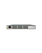 L2 Unmanaged switches